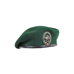 Leading Panzergrenaiders since 2024